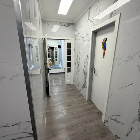 Spacieux 3 A 200 M De La Apartment Ovar