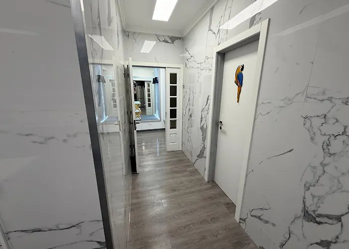 Spacieux 3 A 200 M De La Apartment Ovar